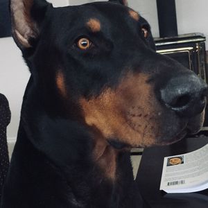 Meet your Posher, Maureen